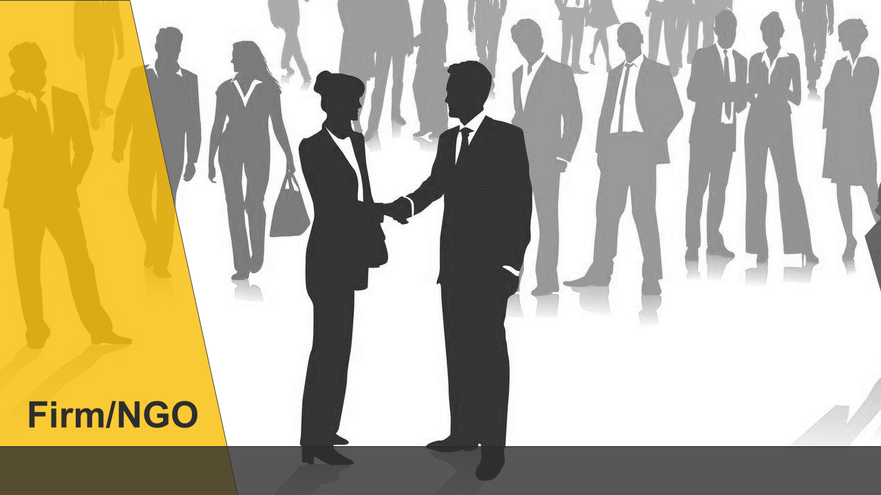 Comprehensive Firm and NGO Services: Register a Firm, NGO, and Renew Licenses - Sayana Munshi